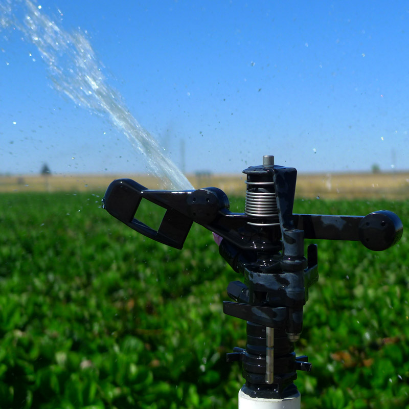 vigrad-aplicacion-image