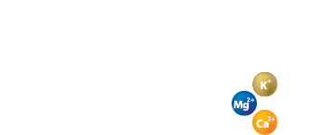 ecosisxxi-graphic-01